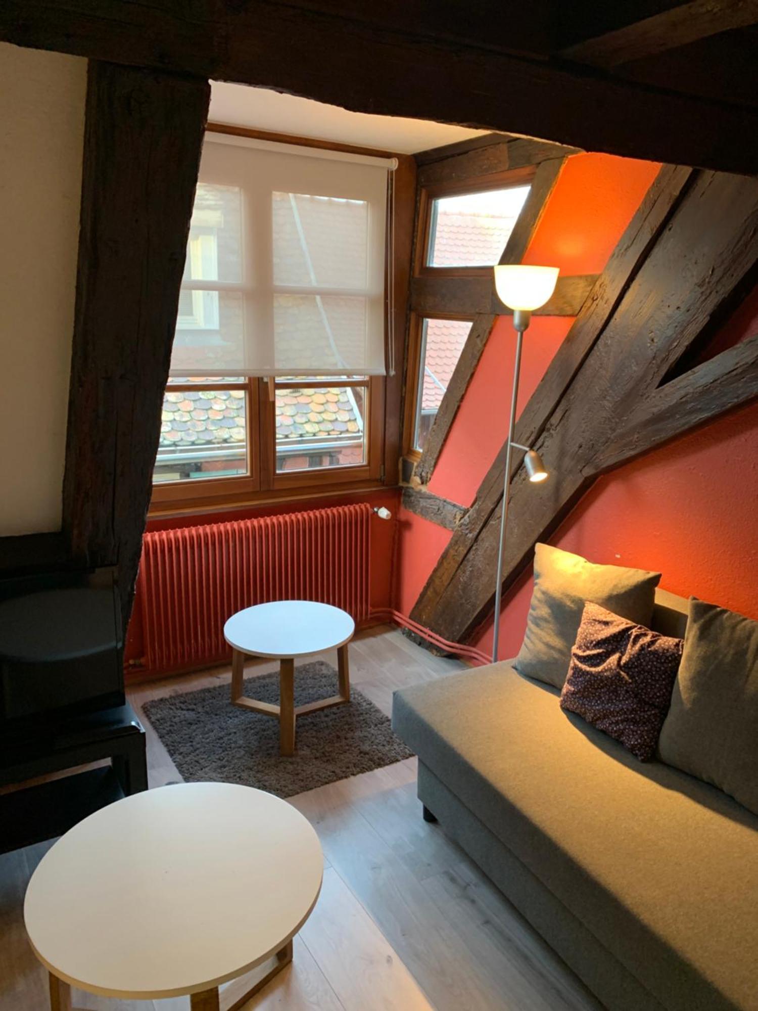 Appartement Duplex 2A Rue D'Alspach Colmar Eksteriør billede