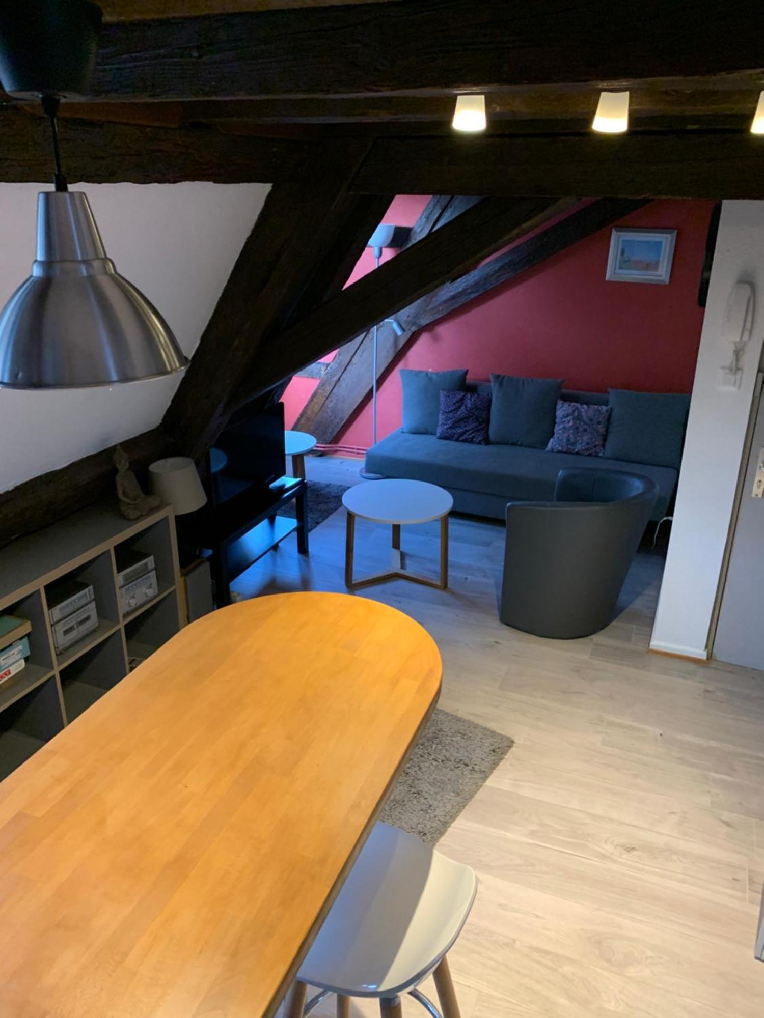 Appartement Duplex 2A Rue D'Alspach Colmar Eksteriør billede